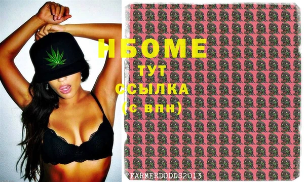 шишки Белокуриха