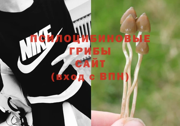 спайс Белоозёрский