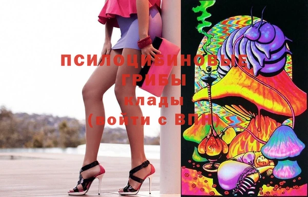 шишки Белокуриха