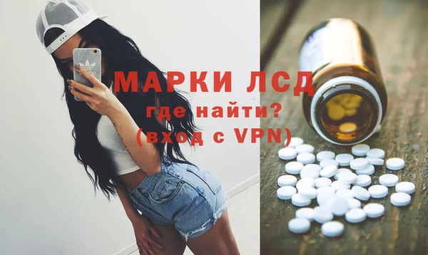 шишки Белокуриха
