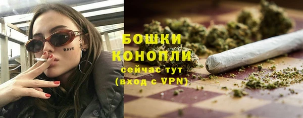 шишки Белокуриха