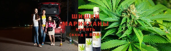 шишки Белокуриха