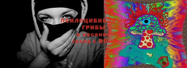 спиды Беломорск