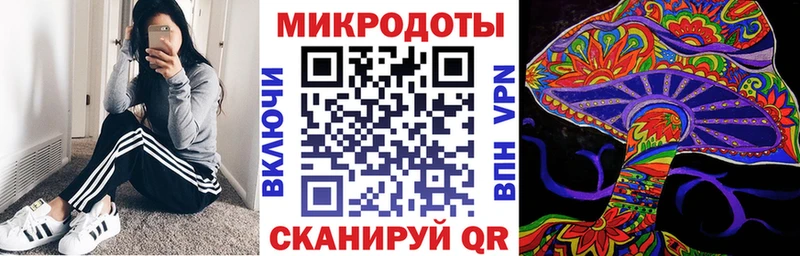 Галлюциногенные грибы Psilocybe  Купить закладки  Можга 